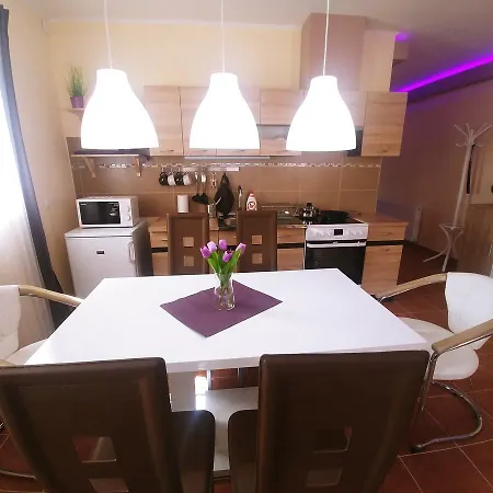 公寓 Sarok Apartmanhaz *